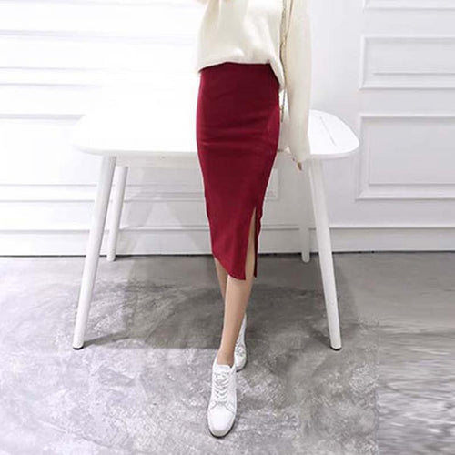 Sexy Chic Pencil Skirt